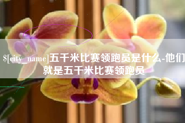 钦州五千米比赛领跑员是什么-他们就是五千米比赛领跑员