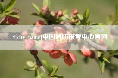钦州中国消防报考中心官网