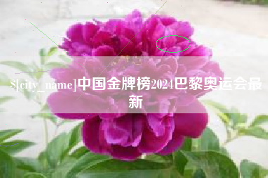 钦州中国金牌榜2024巴黎奥运会最新