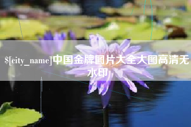 钦州中国金牌图片大全大图高清无水印