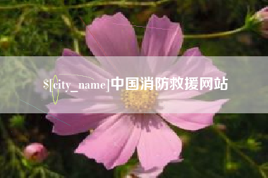 钦州中国消防救援网站