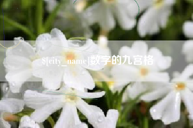 钦州数字的九宫格