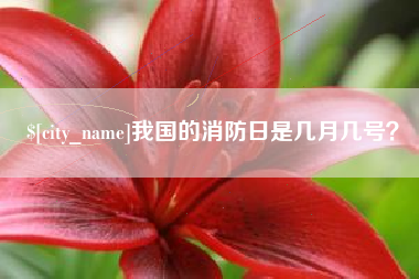 钦州我国的消防日是几月几号？