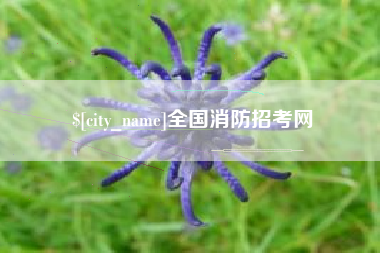 钦州全国消防招考网