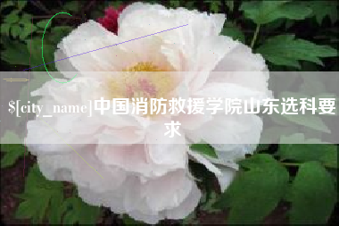 钦州中国消防救援学院山东选科要求