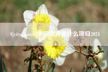 钦州中国金牌是什么项目2024