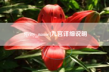 钦州九宫详细说明