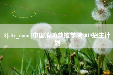 钦州中国消防救援学院2019招生计划