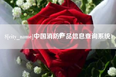 钦州中国消防产品信息查询系统1