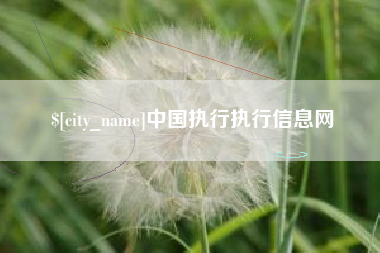 钦州中国执行执行信息网