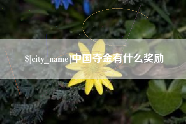 钦州中国夺金有什么奖励