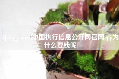 钦州中国执行信息公开网官网app为什么要钱呢