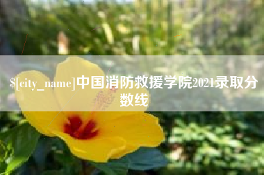 钦州中国消防救援学院2021录取分数线
