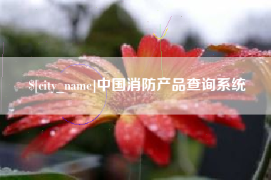 钦州中国消防产品查询系统