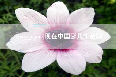 钦州现在中国哪几个金牌