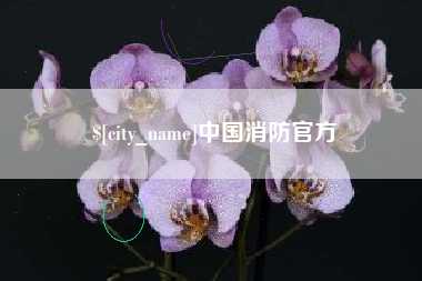 钦州中国消防官方