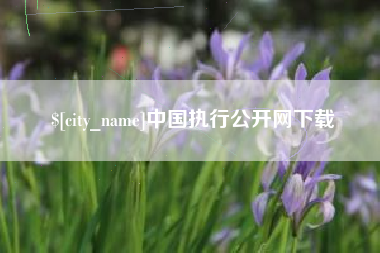 钦州中国执行公开网下载