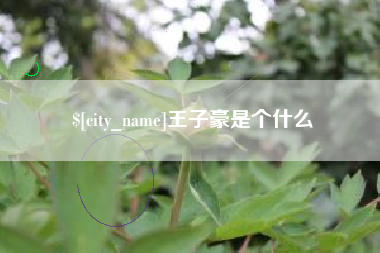 钦州王子豪是个什么