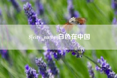 钦州白色在中国