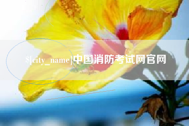 钦州中国消防考试网官网