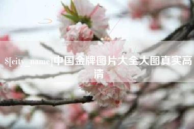 钦州中国金牌图片大全大图真实高清