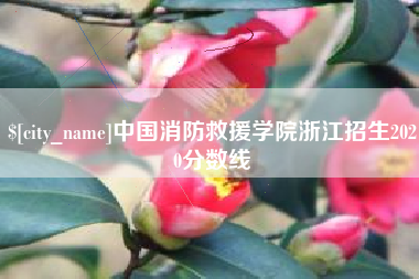 钦州中国消防救援学院浙江招生2020分数线
