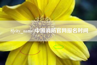 钦州中国消防官网报名时间