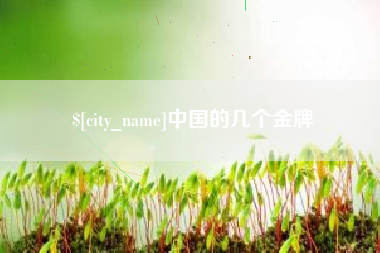 钦州中国的几个金牌