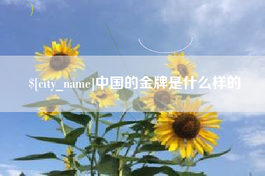 钦州中国的金牌是什么样的