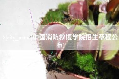 钦州中国消防救援学院招生章程公布!