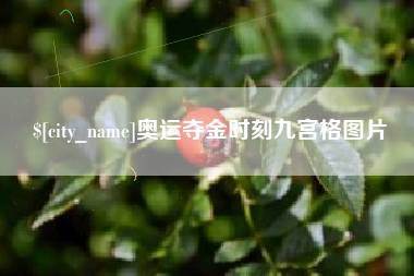 钦州奥运夺金时刻九宫格图片