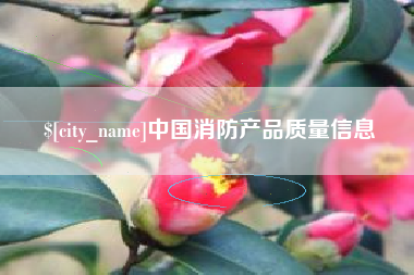 钦州中国消防产品质量信息