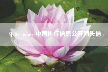 钦州中国执行信息公开网失信