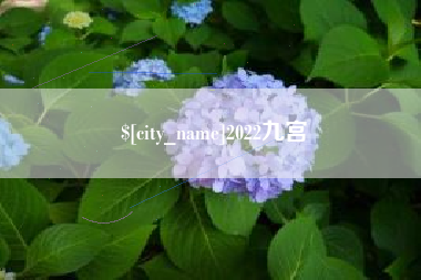 钦州2022九宫