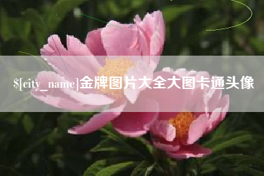 钦州金牌图片大全大图卡通头像