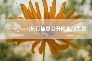 钦州执行信息公开网查询免费
